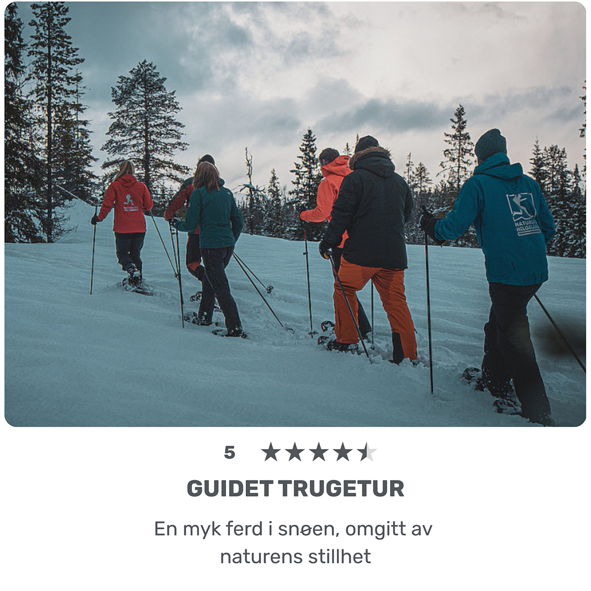 Guidet trugetur